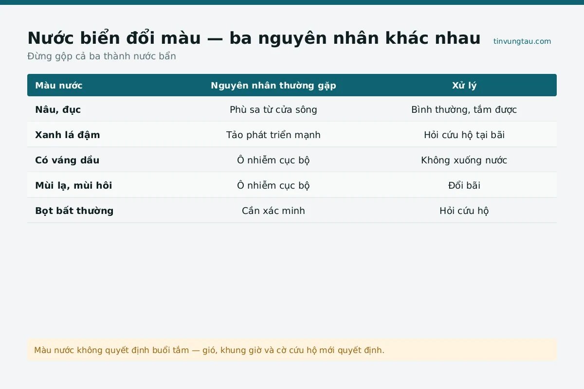 Toàn cảnh biển xanh ở Vũng Tàu nhìn từ trên cao